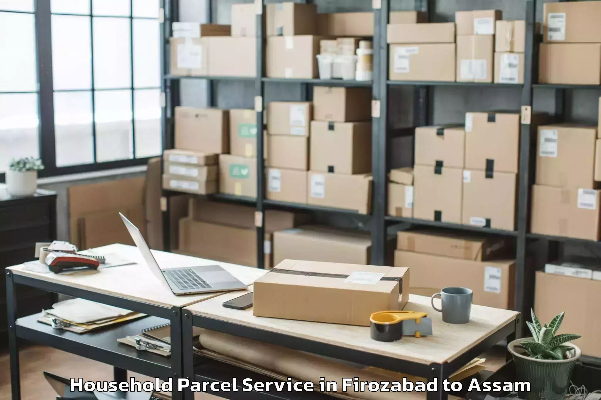 Top Firozabad to Bhowraguri Household Parcel Available